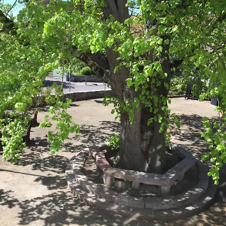 Landgasthof-hotel Zur Linde