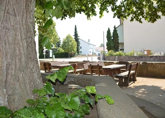 宾馆 Landgasthof-hotel Zur Linde