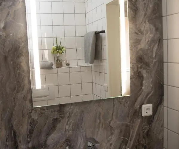 宾馆 Landgasthof-hotel Zur Linde 3*