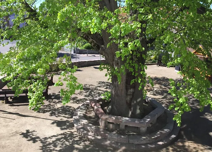 Landgasthof-hotel Zur Linde